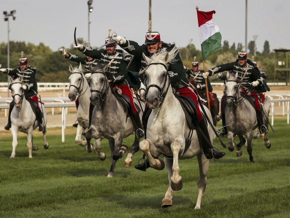 Dunau Derby Budapest Kincsem Park