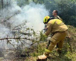 Hungarian firefighters join action in North Macedonia wildfires