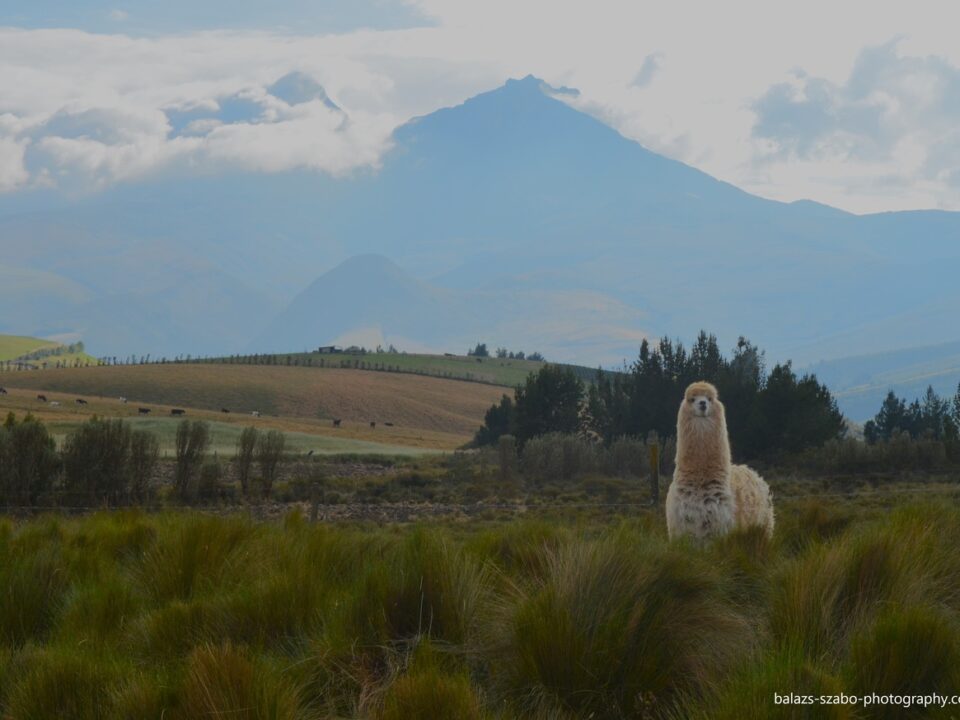 Iliniza Mountains - Andes (1)