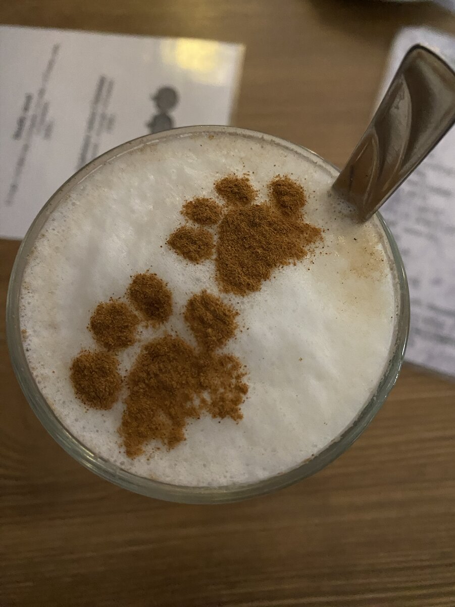 Cat Café Budapest