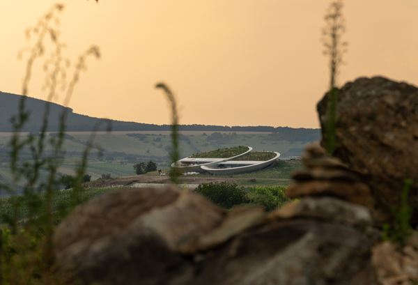 Hungarian wineries Sauska