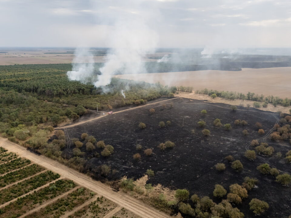 outdoor fire near csönge