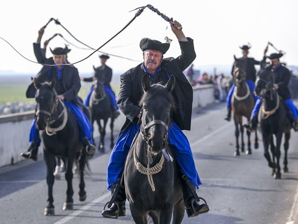 St. Dömötör's Day Shepherding and Crane Festival 2024 Hungary news