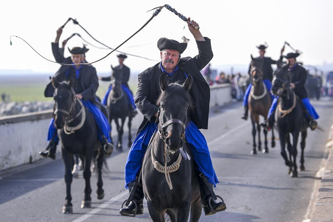 St. Dömötör's Day Shepherding and Crane Festival 2024 Hungary news