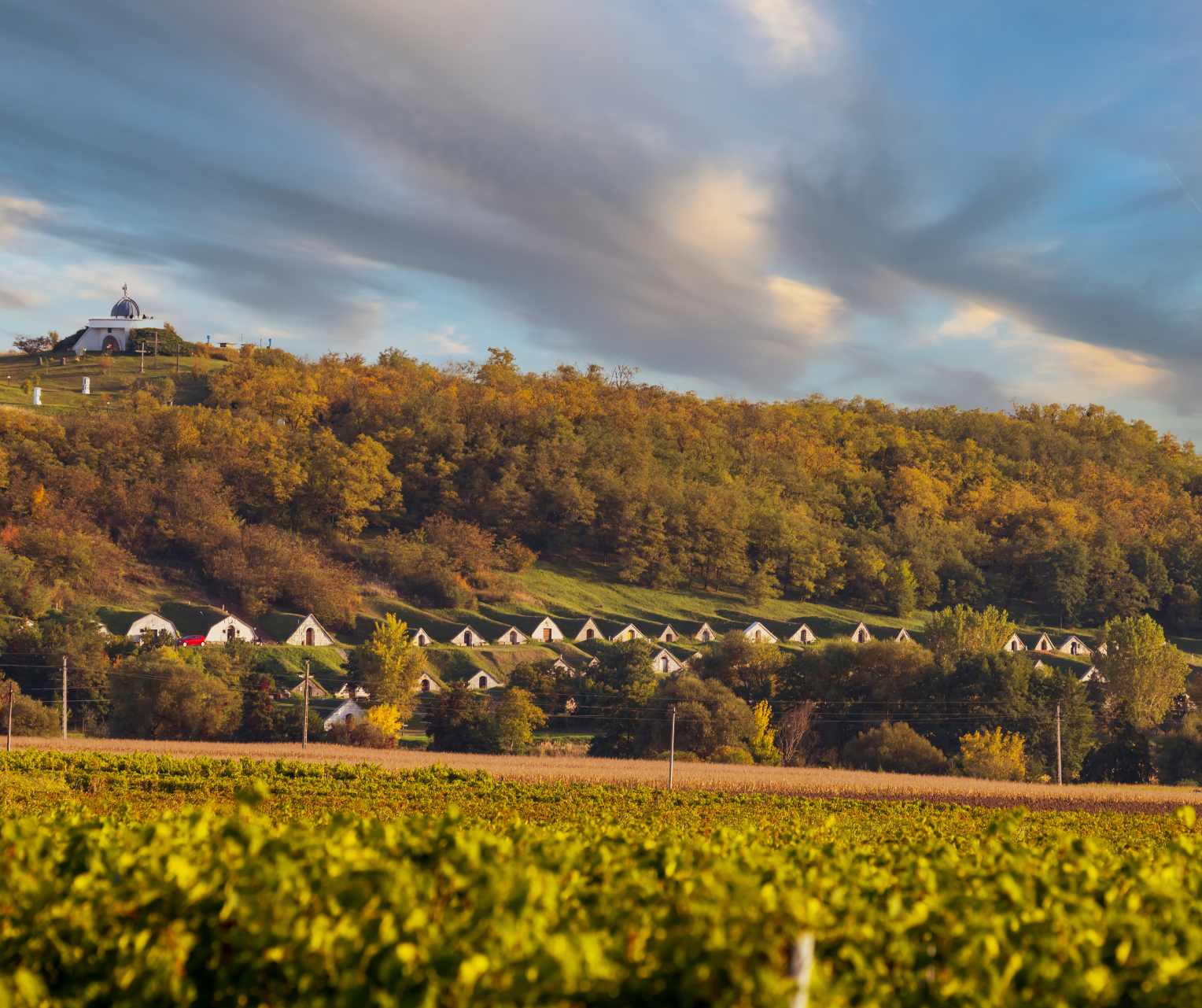 The 8 Hungarian World Heritage sites - Tokaj