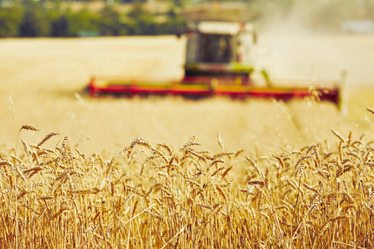 Hungary's agriculture minister slams Péter Magyar