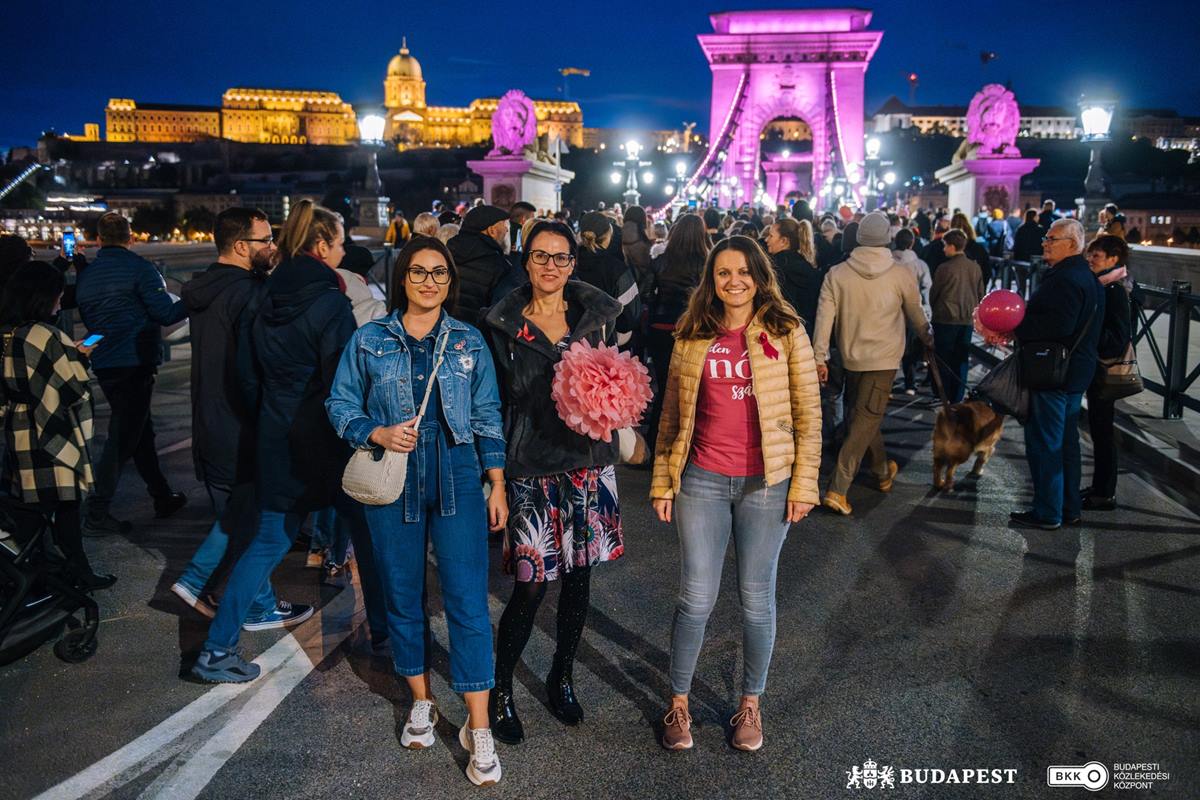 chain bridge pink budapest