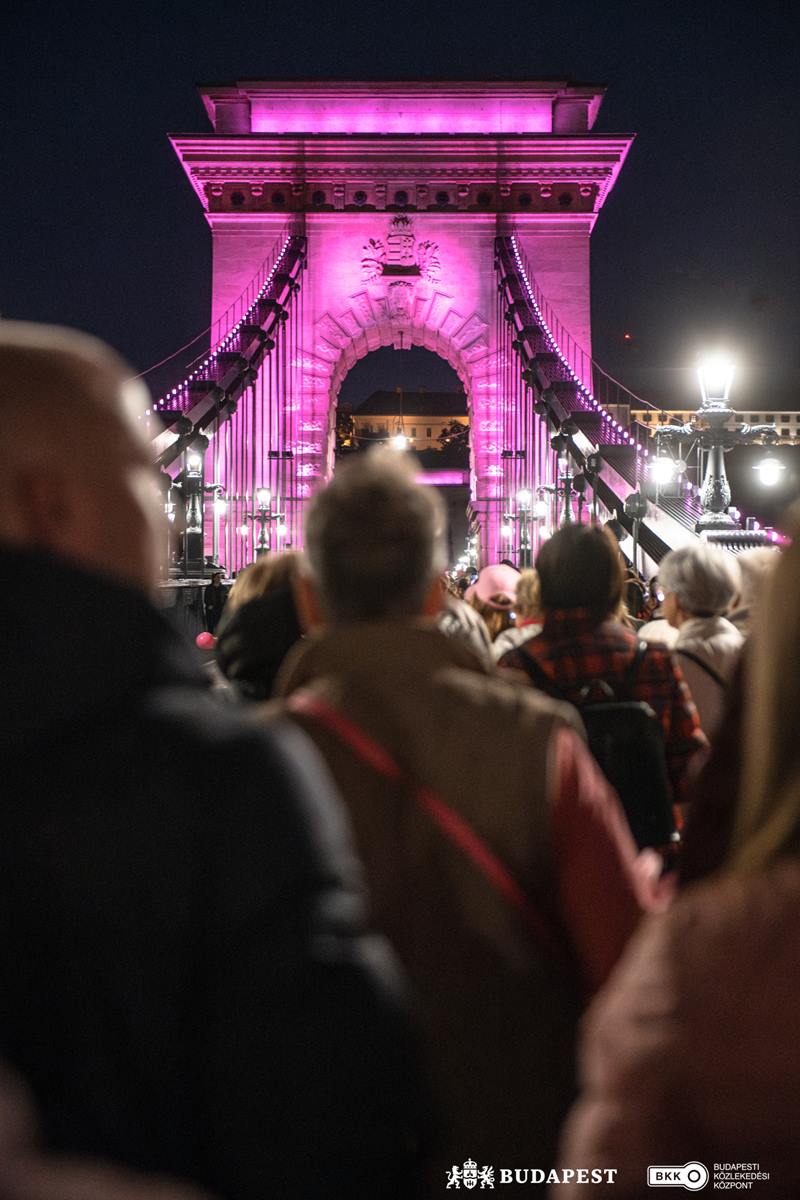 chain bridge pink budapest