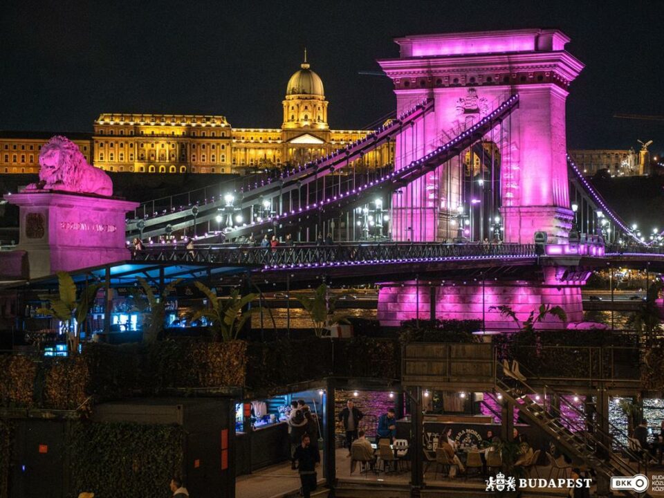 chain bridge pink