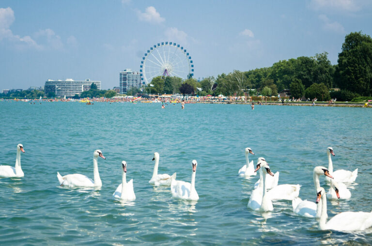 turistas extranjeros en Siofok, lago de los cisnes, Balaton