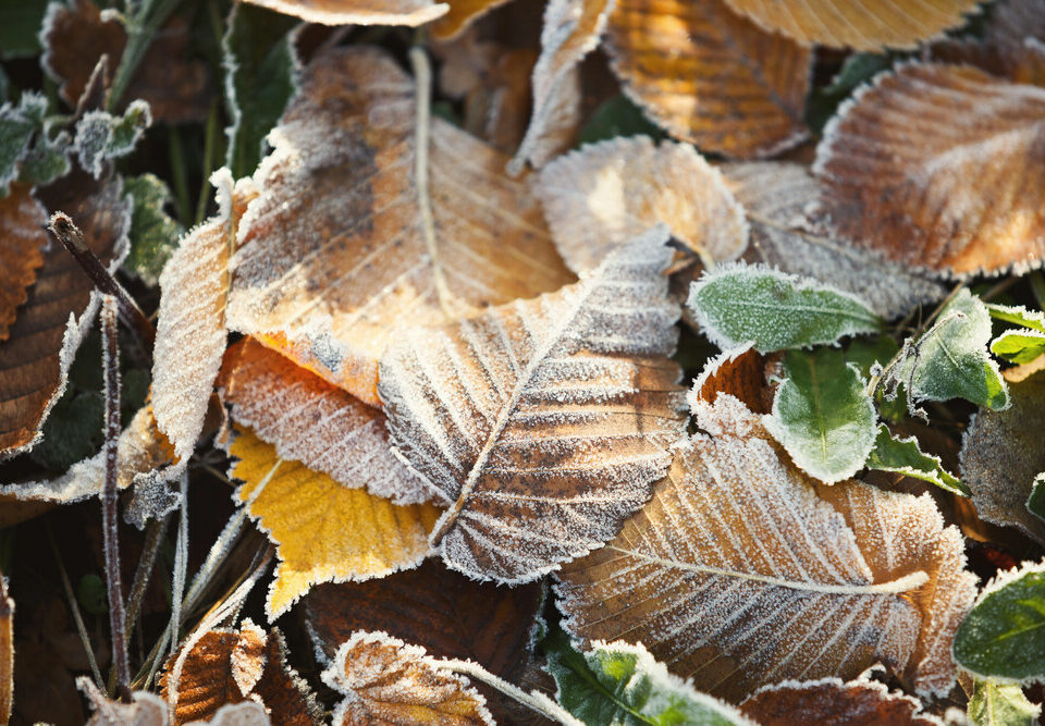 hungary autumn frost weather forecast