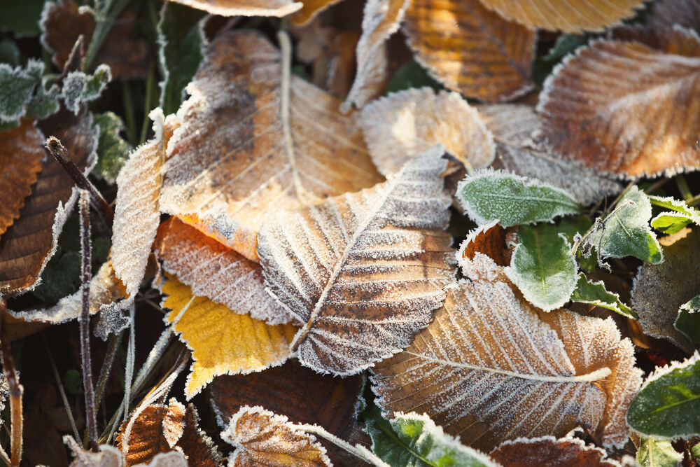 hungary autumn frost weather forecast