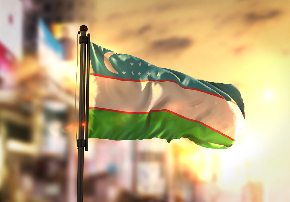 uzbekistan flag