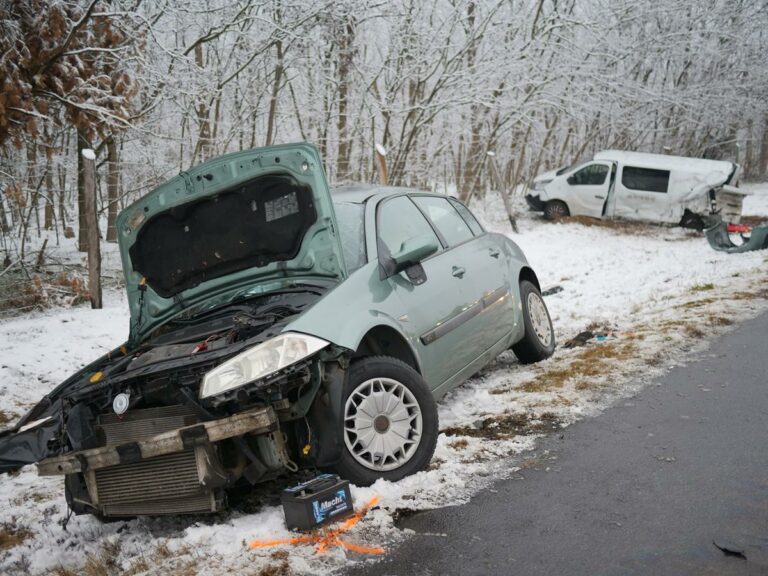 Tragedy on Hungarian motorway minibus offering aid hit in deadly accident m5