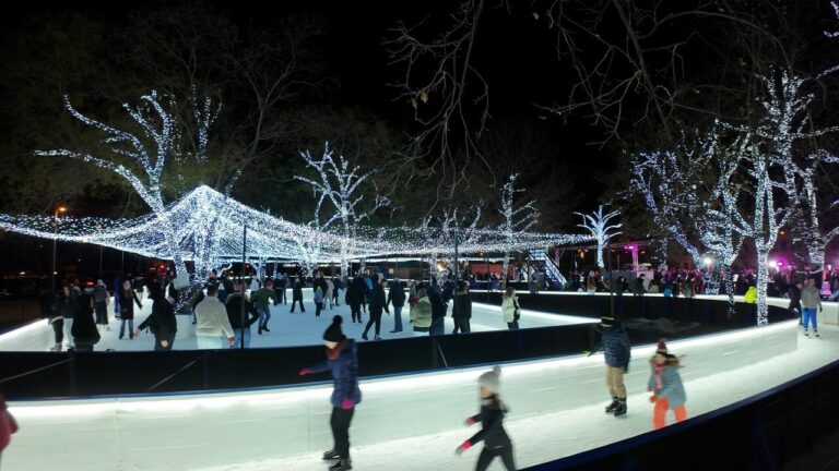 csepeli jégpark ice park (1)