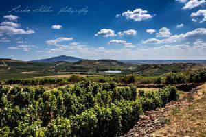 Tokaj wine World Heritage