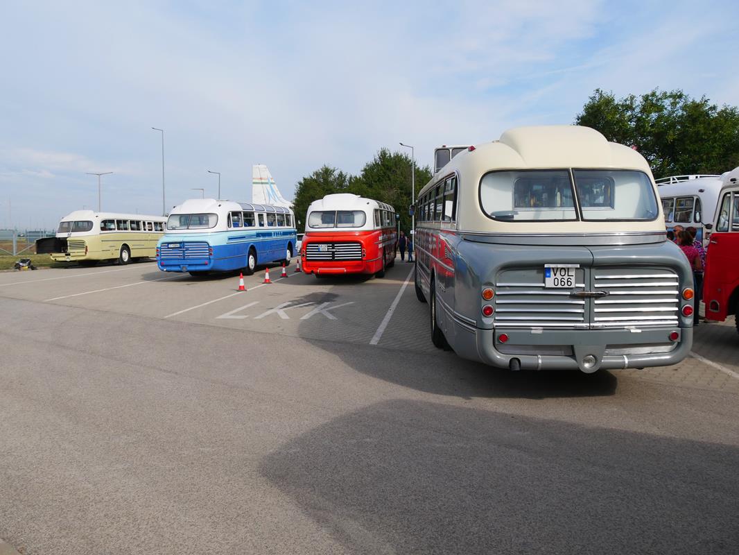 Faros bus lineup