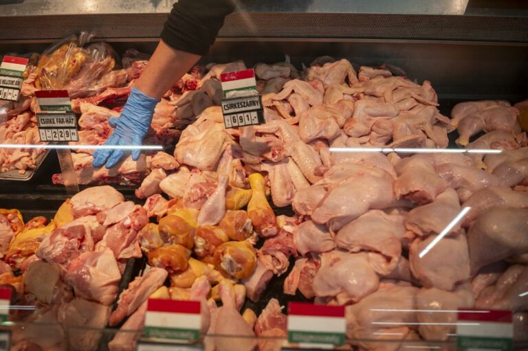épicerie magasins hausses de prix inflation prix marge plafond
