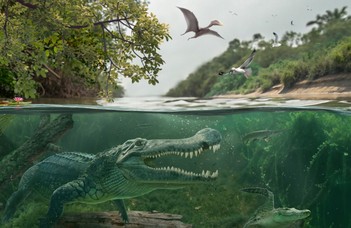 Late Cretaceous interaction Deinosuchus Alligator North America