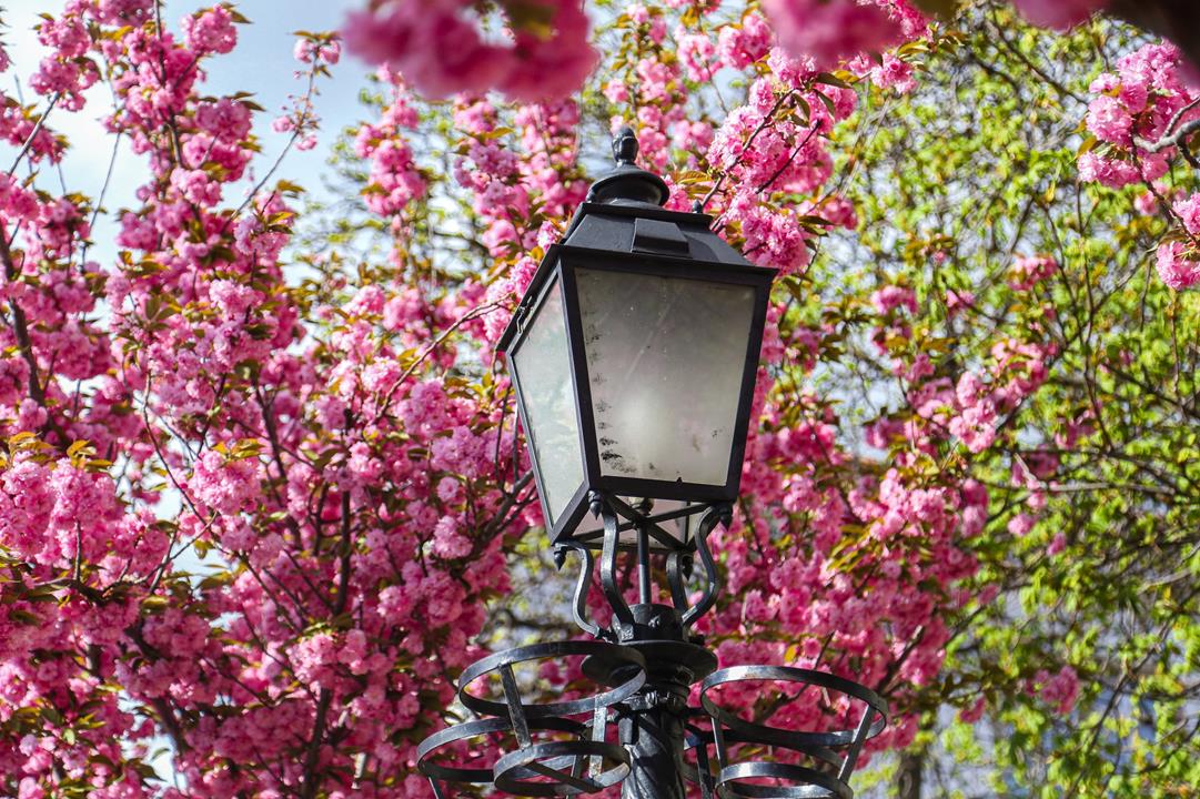 One of Budapest's most romantic promenades in Buda Castle