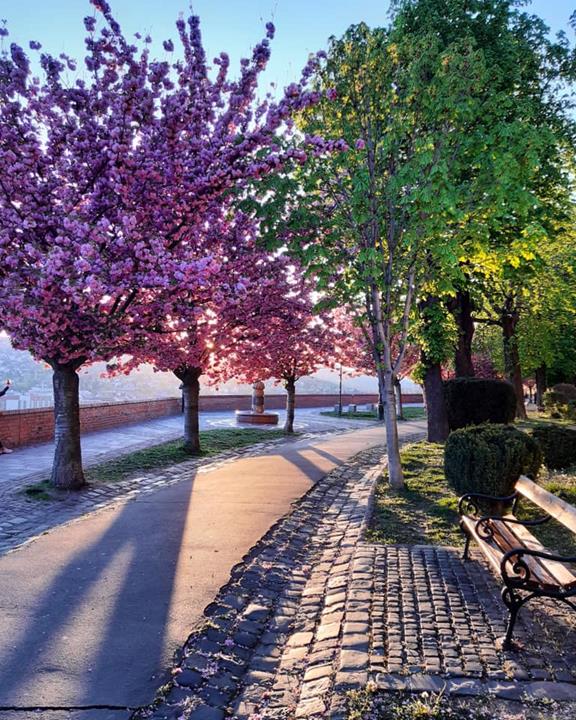 One of Budapest's most romantic promenades in Buda Castle