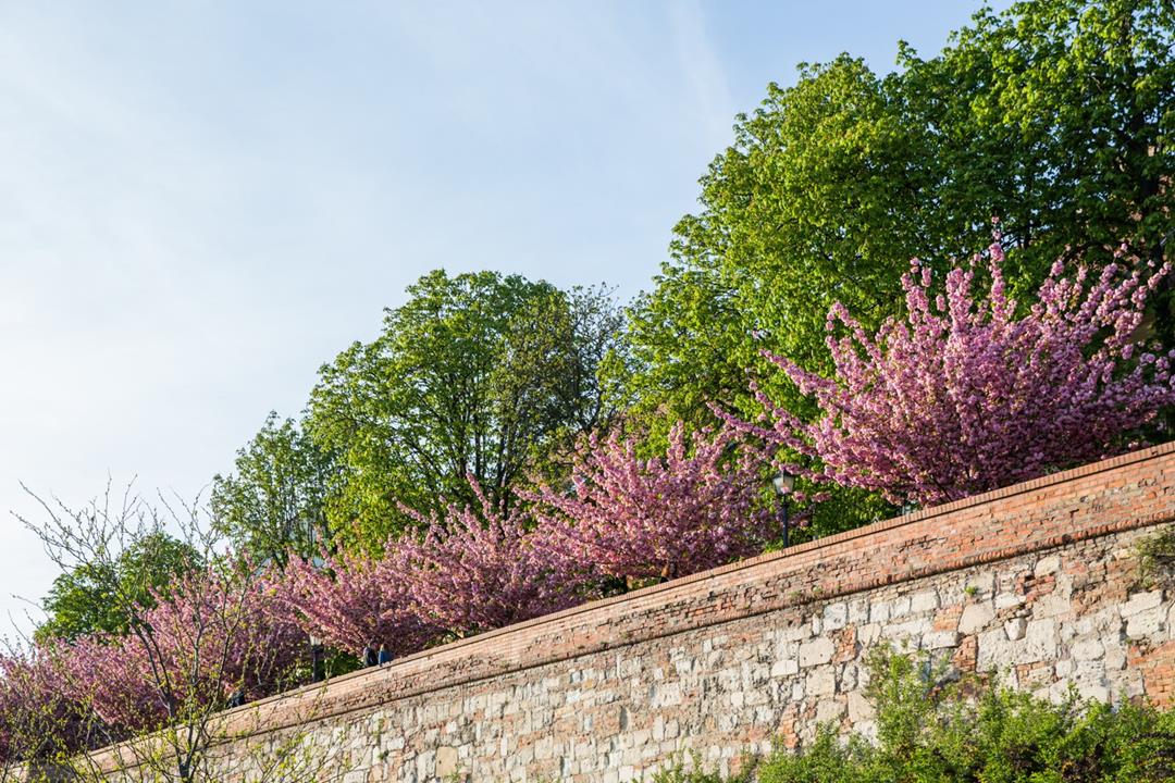 One of Budapest's most romantic promenades in Buda Castle