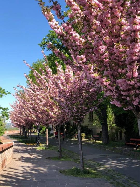 One of Budapest's most romantic promenades in Buda Castle