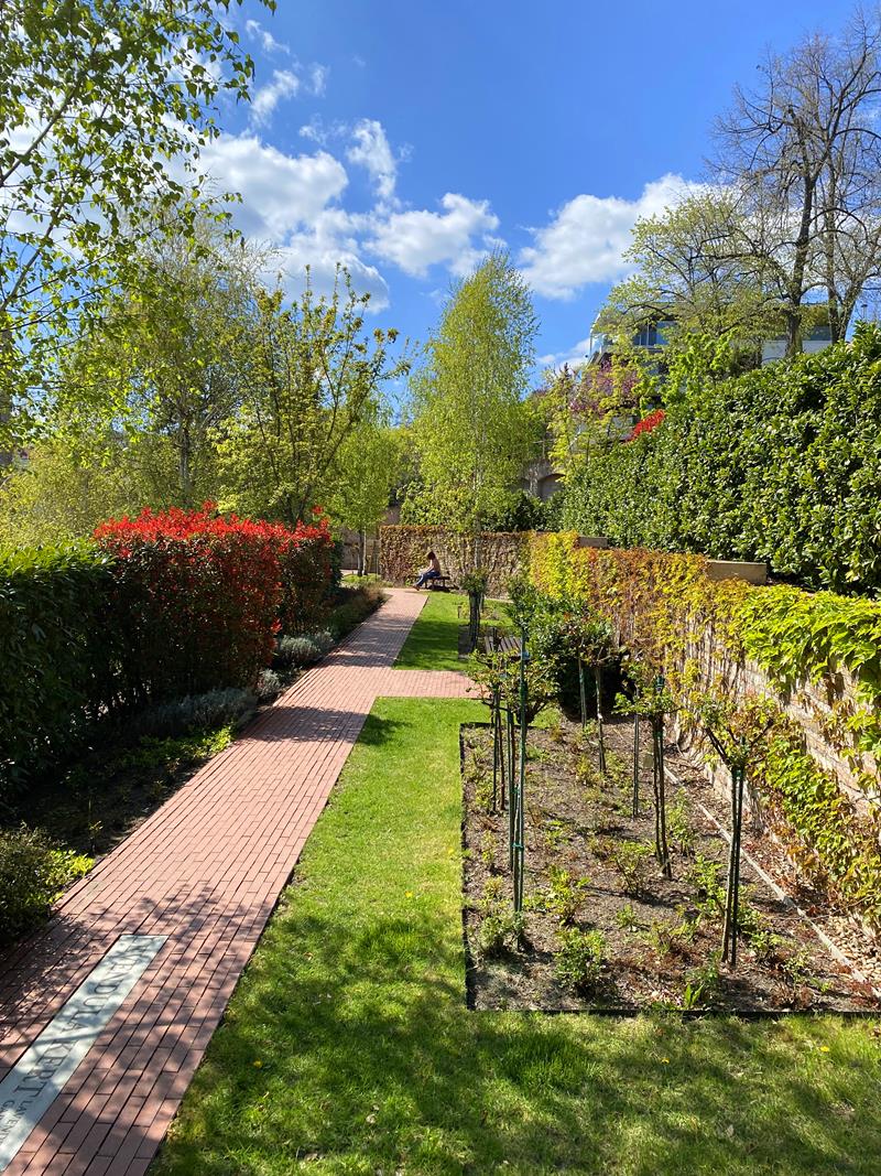 Tomb rose garden
