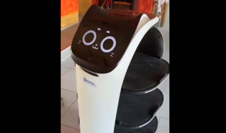 Robot de taberna de pescado Szálka