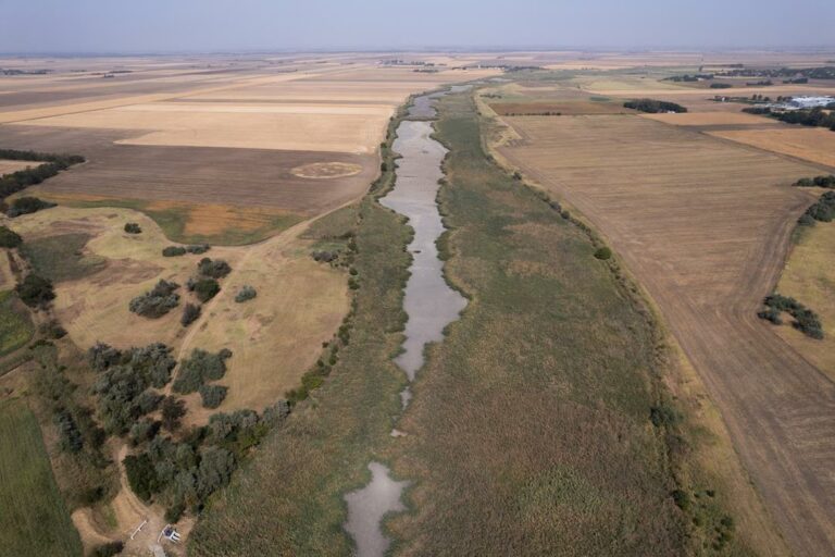 O zonă asemănătoare deșertului se formează în Ungaria Centrală, cu plante tropicale și subtropicale.