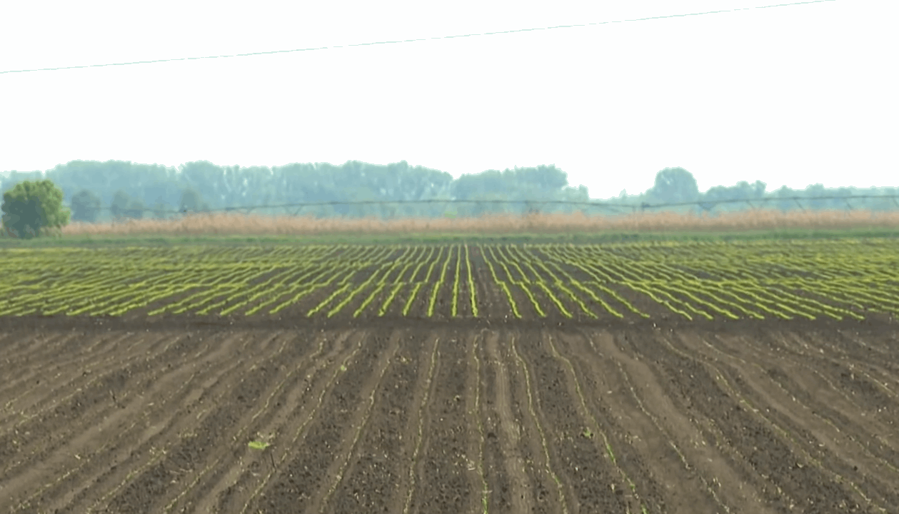 Hungarian farmers Mediterranean crops irrigation
