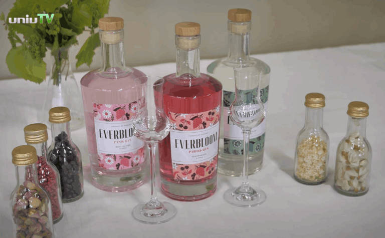 Gin desenvolvido na Universidade de Pécs (Cópia)