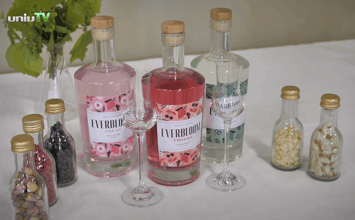 Gin desenvolvido na Universidade de Pécs (Cópia)