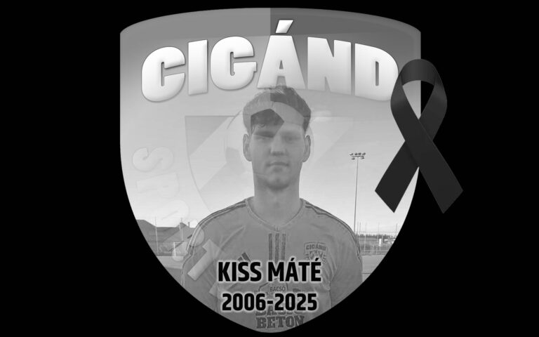 Un footballeur hongrois a attendu 50 minutes pour obtenir de l'aide médicale