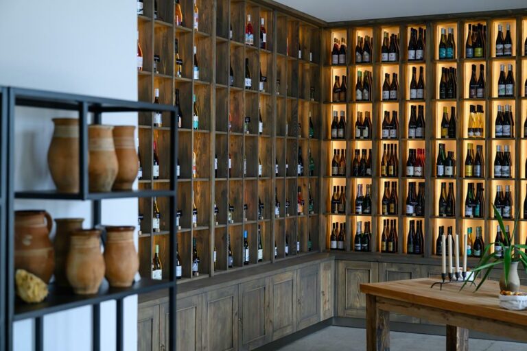 Se inaugura el Centro de Visitantes de los Vinos de Balaton