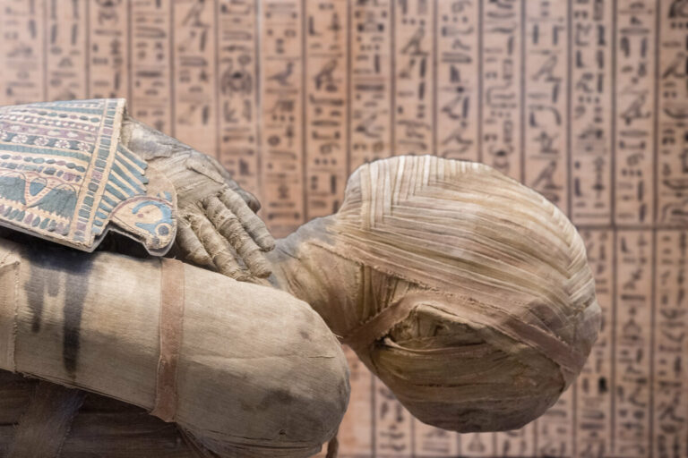 Momia egipcia, bacterias de la peste, historia antigua, arqueología