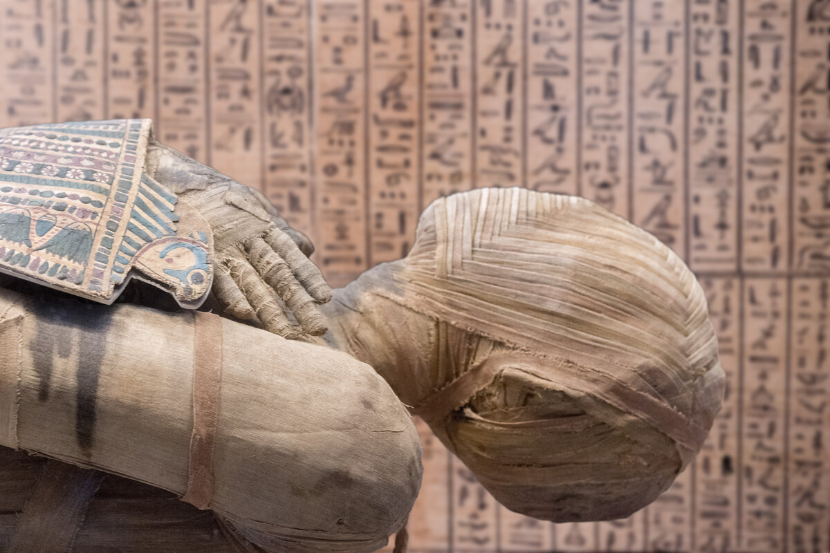 Egyptian mummy plague bacteria ancient history archaeology