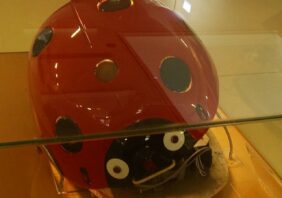 Szeged ladybug robot exhibition original
