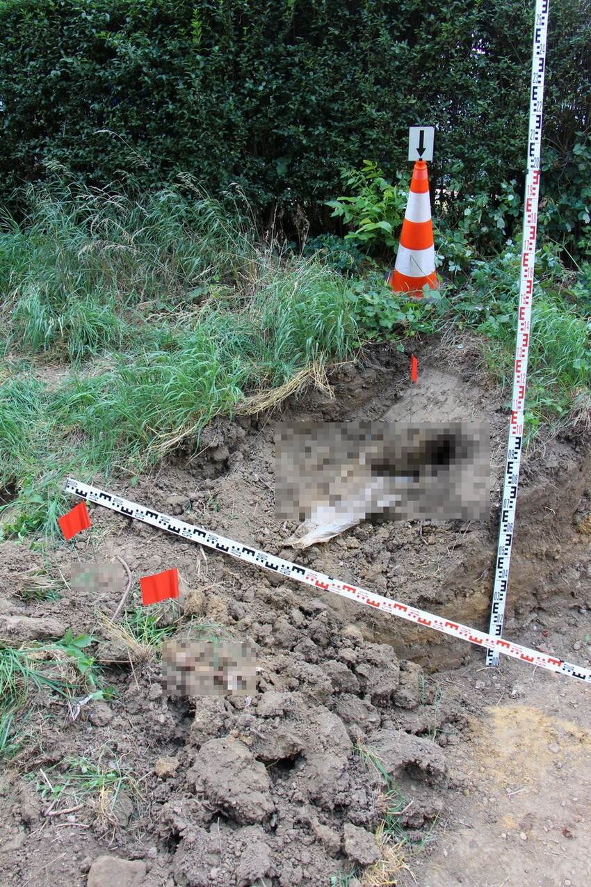Hallan restos de hombre desaparecido hace 25 años desaparecido padre sospechoso de asesinato
