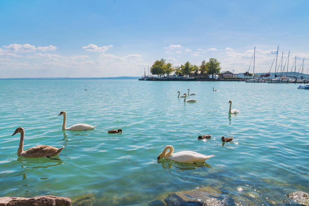 Balaton Beach Ticket étkezési árak