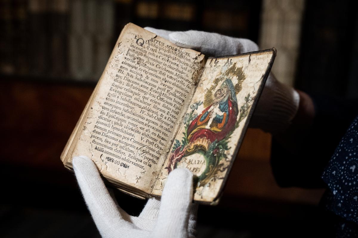 CNN a également alerté : une infestation de coléoptères détruit la plus ancienne bibliothèque de Hongrie.