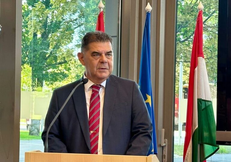 Ambasadorul croat Mladen Andrlić interviu DNH