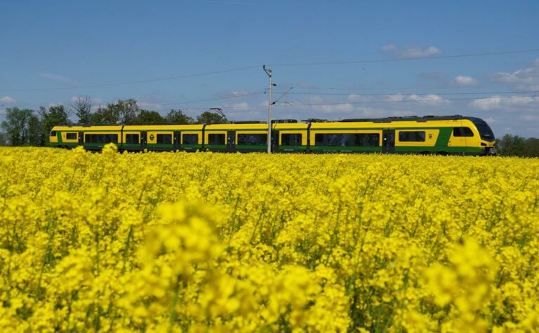 GYSEV adquiere los ferrocarriles de Hungría Occidental de MÁV (Copia)