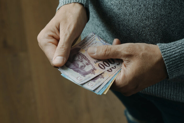 Венгерское правительство, экономические программы, распределение выборов