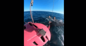 Hungarian tourists saved in Greece rescue