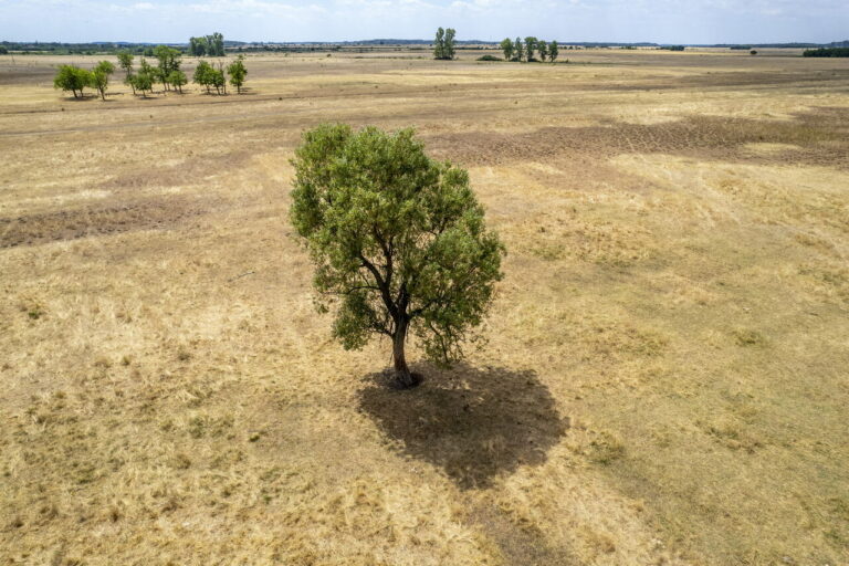 Hongrie sécheresse eau Danube Tisza