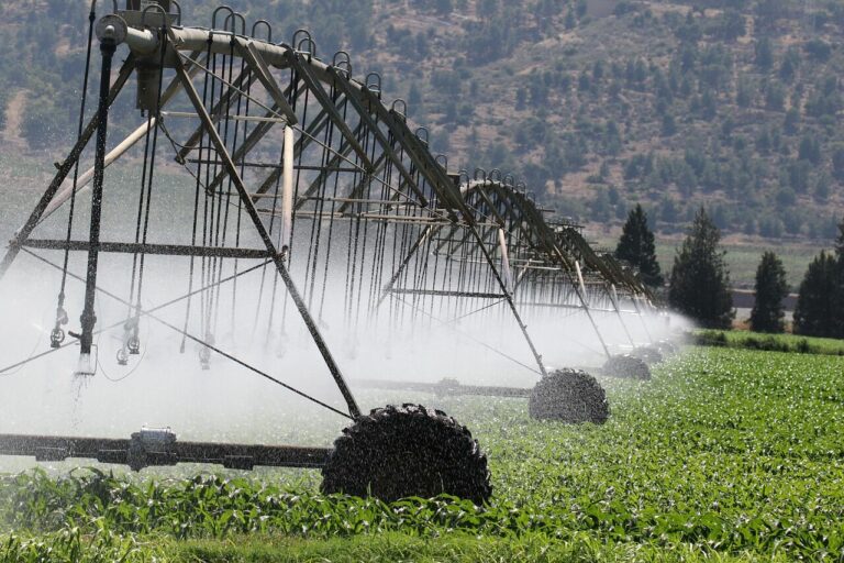 sécheresse Hongrie irrigation illustration crise agriculture