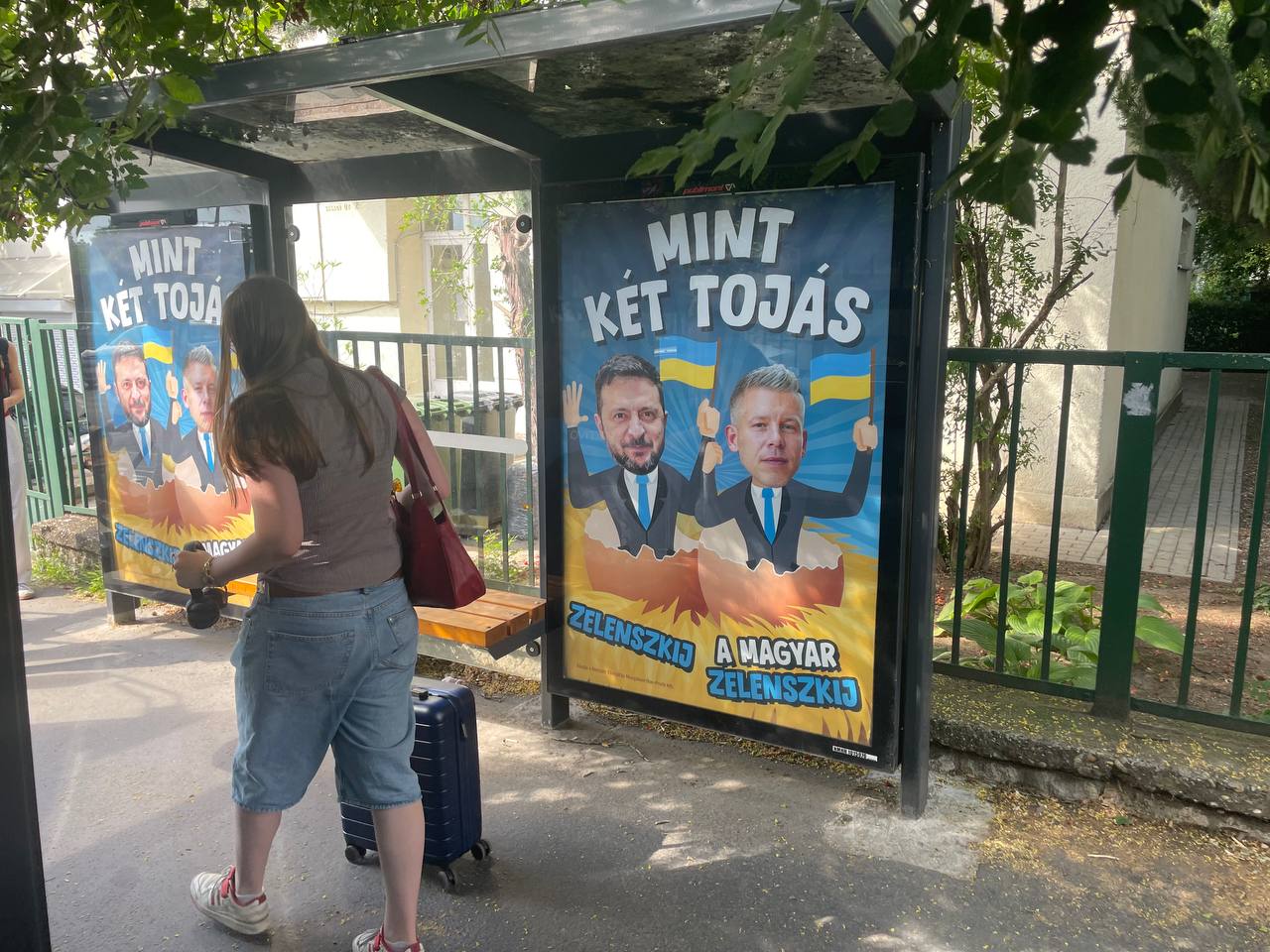 Poster campaign Zelenszky Péter Magyar