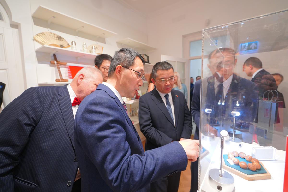 Suzhou debuts in Budapest: a fusion of Chinese heritage and high-tech trade