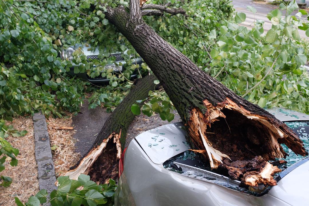 Thunderstorm Hungary news